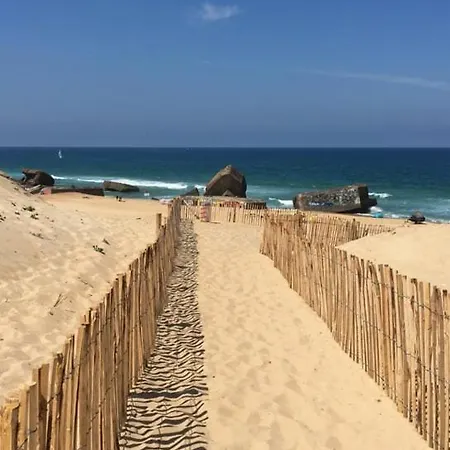 Complet Neuf En Rdc Appartement Dax