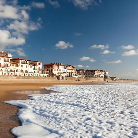 Complet Neuf En Rdc Appartement *