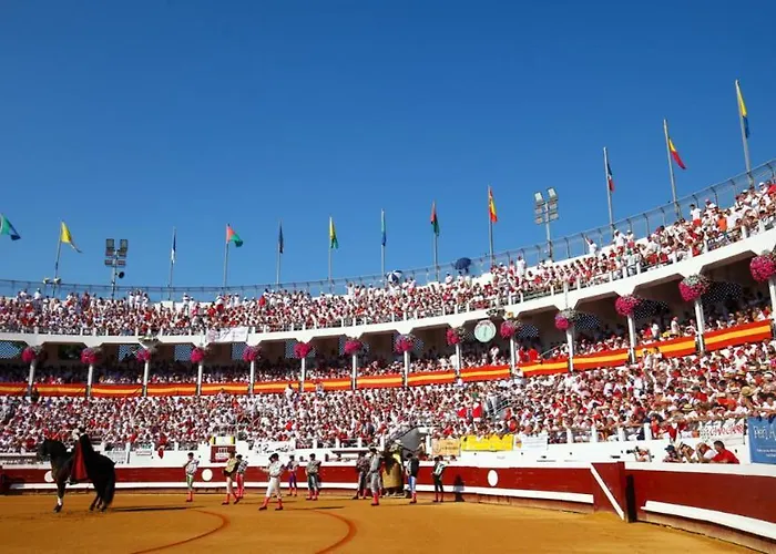 Complet Neuf En Rdc Apartman *