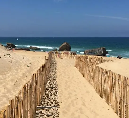 Complet Neuf En Rdc Apartman Dax